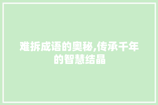难拆成语的奥秘,传承千年的智慧结晶 应用文
