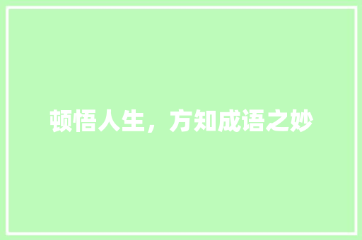 顿悟人生，方知成语之妙 应用文