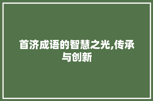 首济成语的智慧之光,传承与创新