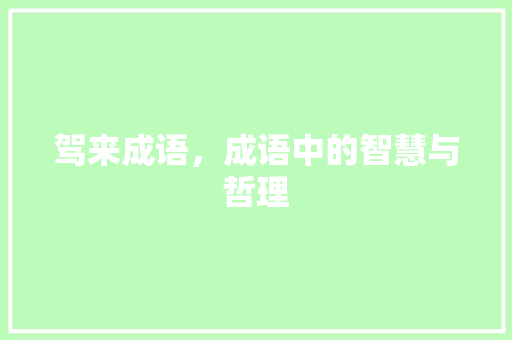 驾来成语，成语中的智慧与哲理