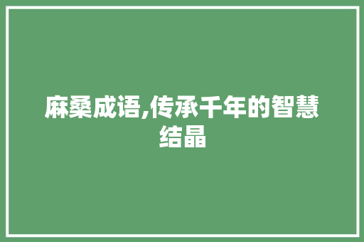 麻桑成语,传承千年的智慧结晶