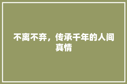 不离不弃，传承千年的人间真情