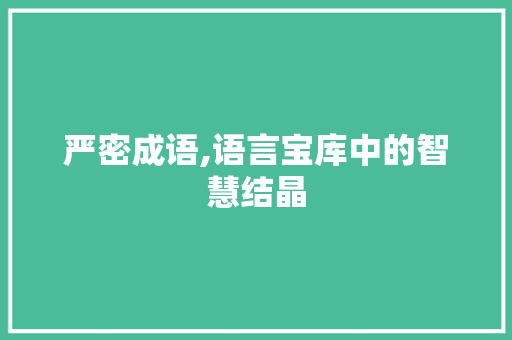 严密成语,语言宝库中的智慧结晶