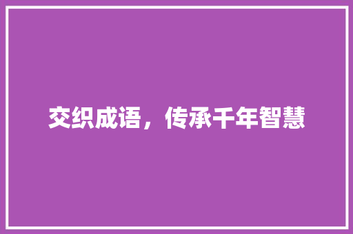 交织成语，传承千年智慧
