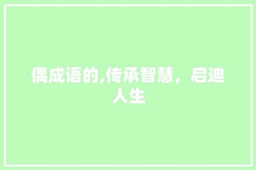 偶成语的,传承智慧，启迪人生