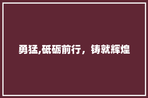 勇猛,砥砺前行，铸就辉煌