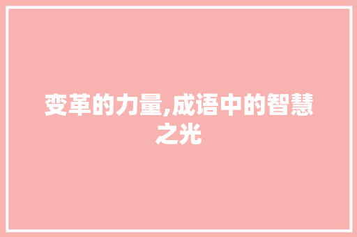 变革的力量,成语中的智慧之光