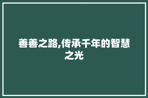 善善之路,传承千年的智慧之光