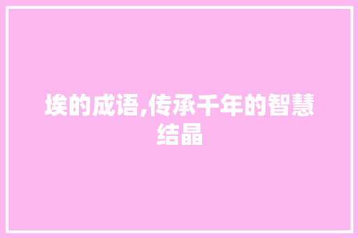 埃的成语,传承千年的智慧结晶