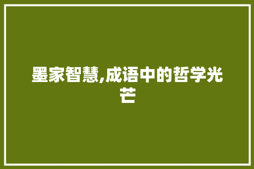 墨家智慧,成语中的哲学光芒