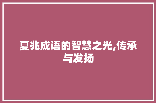 夏兆成语的智慧之光,传承与发扬