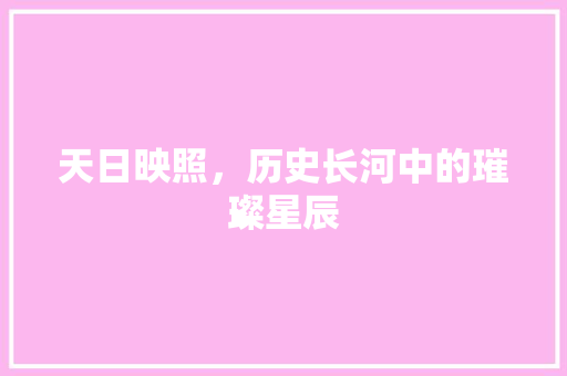 天日映照，历史长河中的璀璨星辰