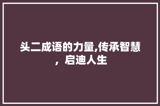 头二成语的力量,传承智慧，启迪人生