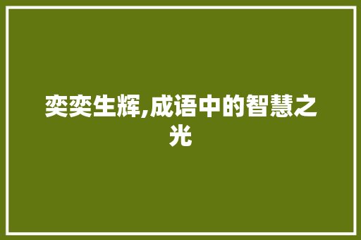 奕奕生辉,成语中的智慧之光 项目报告