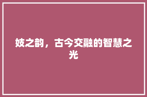 妓之韵，古今交融的智慧之光