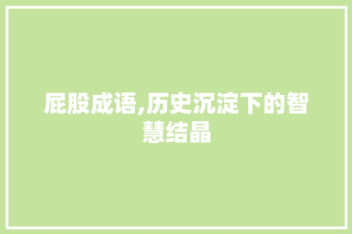 屁股成语,历史沉淀下的智慧结晶 诗词体裁