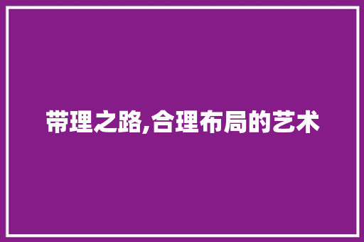 带理之路,合理布局的艺术