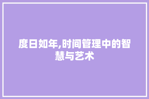 度日如年,时间管理中的智慧与艺术