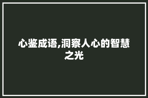 心鉴成语,洞察人心的智慧之光