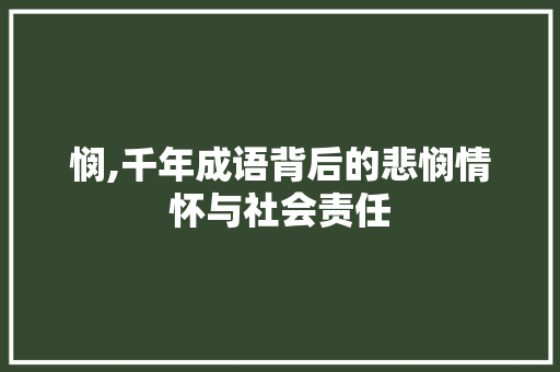 悯,千年成语背后的悲悯情怀与社会责任