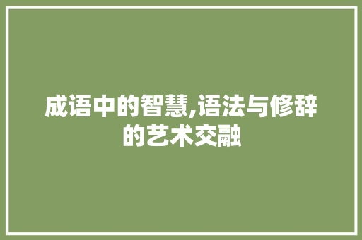 成语中的智慧,语法与修辞的艺术交融