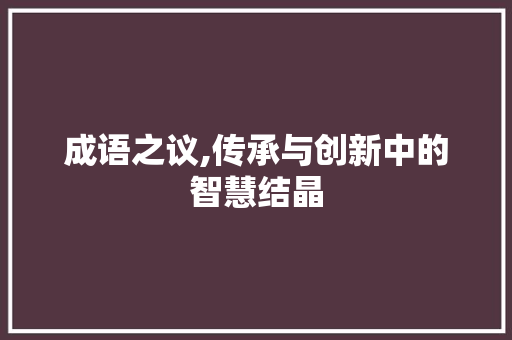 成语之议,传承与创新中的智慧结晶