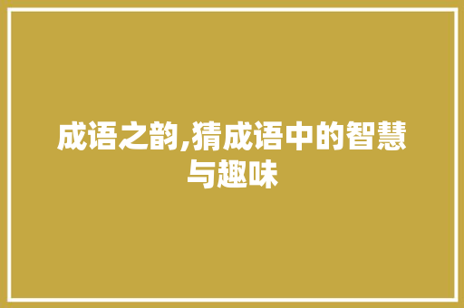 成语之韵,猜成语中的智慧与趣味 职场写作