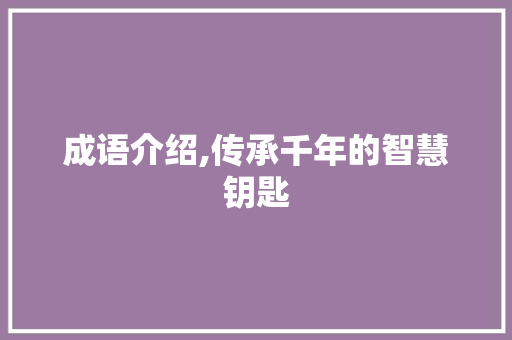 成语介绍,传承千年的智慧钥匙 工作总结