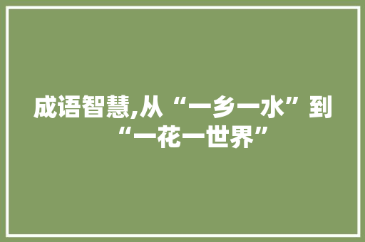 成语智慧,从“一乡一水”到“一花一世界” 社交媒体