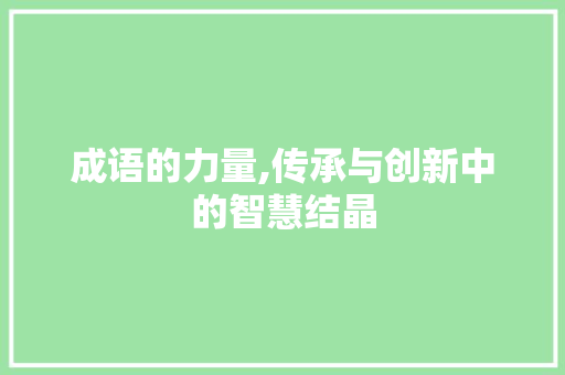 成语的力量,传承与创新中的智慧结晶