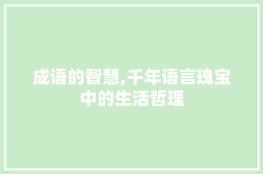 成语的智慧,千年语言瑰宝中的生活哲理 职场写作