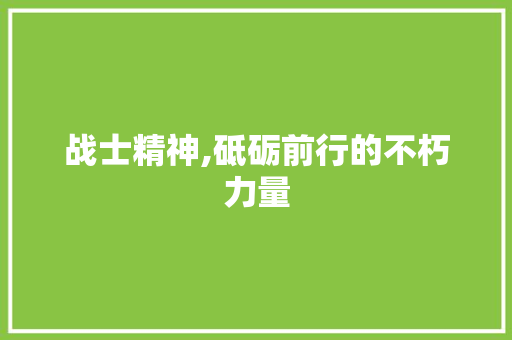 战士精神,砥砺前行的不朽力量