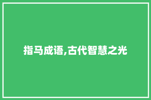 指马成语,古代智慧之光