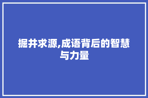 掘井求源,成语背后的智慧与力量