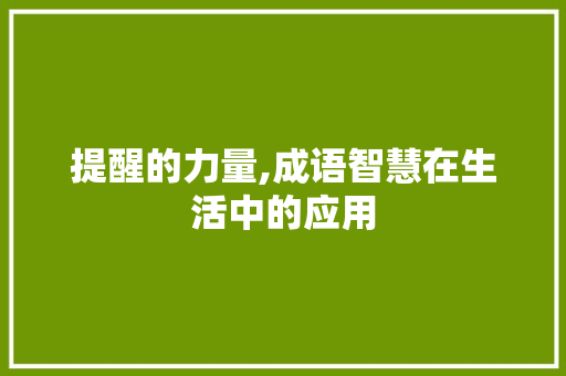 提醒的力量,成语智慧在生活中的应用