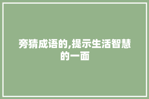旁猜成语的,提示生活智慧的一面 工作总结