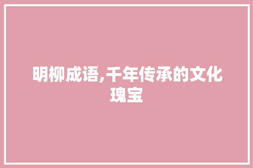 明柳成语,千年传承的文化瑰宝 项目报告