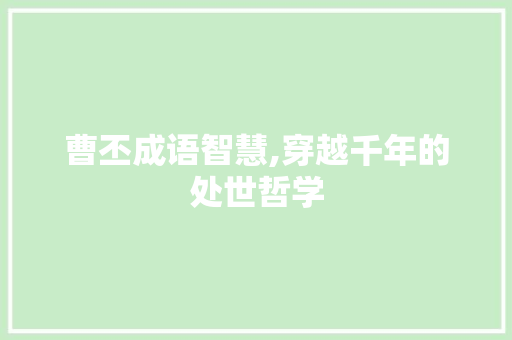 曹丕成语智慧,穿越千年的处世哲学 诗词体裁