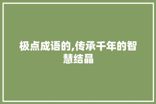 极点成语的,传承千年的智慧结晶
