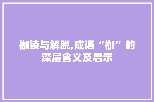 枷锁与解脱,成语“枷”的深层含义及启示