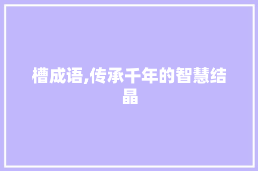 槽成语,传承千年的智慧结晶