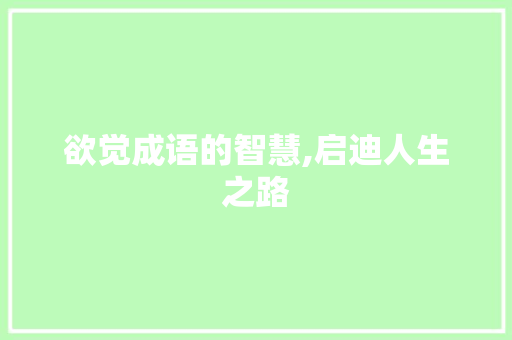 欲觉成语的智慧,启迪人生之路 项目报告