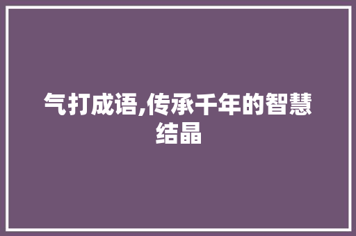 气打成语,传承千年的智慧结晶 项目报告