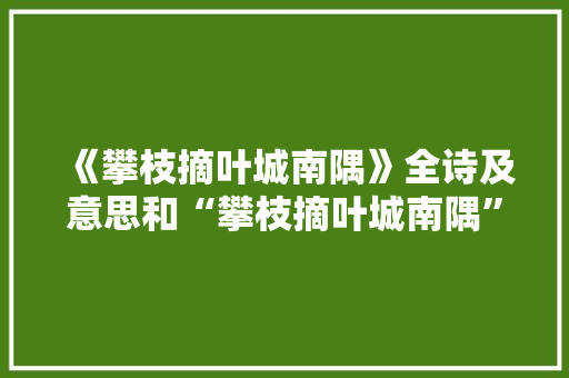 《攀枝摘叶城南隅》全诗及意思和“攀枝摘叶城南隅”的拼音注释