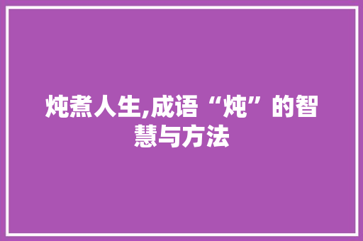 炖煮人生,成语“炖”的智慧与方法