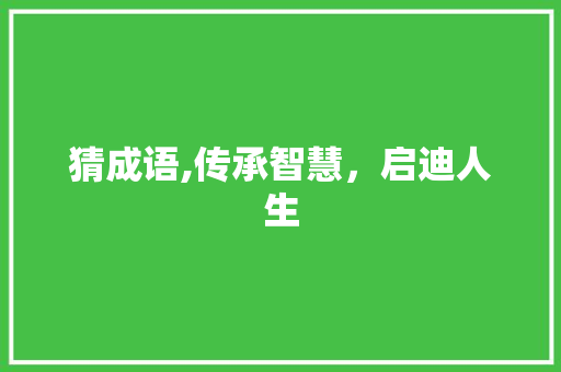 猜成语,传承智慧，启迪人生 诗词体裁