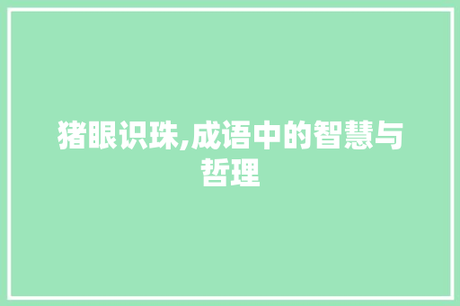 猪眼识珠,成语中的智慧与哲理 项目报告