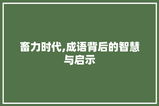 畜力时代,成语背后的智慧与启示