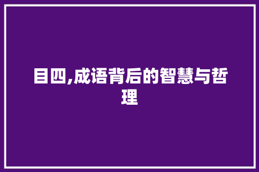 目四,成语背后的智慧与哲理 诗词鉴赏
