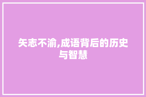 矢志不渝,成语背后的历史与智慧